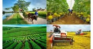 Tự xây dựng hoặc cải tạo, sửa chữa nhà ở theo chương trình quốc gia được hỗ trợ những khoản nào?