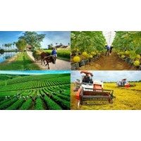 Tự xây dựng hoặc cải tạo, sửa chữa nhà ở theo chương trình quốc gia được hỗ trợ những khoản nào?