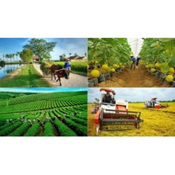 Tự xây dựng hoặc cải tạo, sửa chữa nhà ở theo chương trình quốc gia được hỗ trợ những khoản nào?