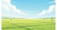 Viết bài văn tả cánh đồng lúa vào mùa xuân lớp 5