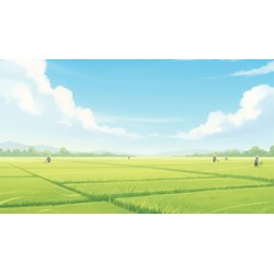 Viết bài văn tả cánh đồng lúa vào mùa xuân lớp 5