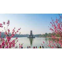 Thời tiết Hà Nội Tết Nguyên đán 2026: Dự báo mới nhất và điểm du xuân lý tưởng