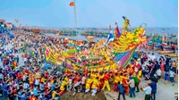 Lễ hội Cầu Ngư 2026: Quy định pháp luật về bảo vệ loài Cá Ông (Cá Voi) - Động vật nguy cấp quý hiếm