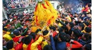 Tranh cướp lộc hoa tre tại Hội Gióng 2026: Ranh giới giữa phong tục và hành vi "Gây rối trật tự công cộng"