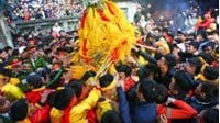 Tranh cướp lộc hoa tre tại Hội Gióng 2026: Ranh giới giữa phong tục và hành vi "Gây rối trật tự công cộng"