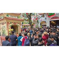 Hướng dẫn sắm lễ chay dâng Phật tại Chùa Trấn Quốc đúng chuẩn phong tục