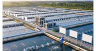 Điều kiện cơ sở nuôi trồng thủy sản từ 25/1/2026: Quy định mới nhất