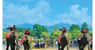 Lễ hội Đua Voi (Buôn Đôn): Quy định về phúc lợi động vật và cấm hành vi ngược đãi trong lễ hội