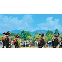 Lễ hội Đua Voi (Buôn Đôn): Quy định về phúc lợi động vật và cấm hành vi ngược đãi trong lễ hội