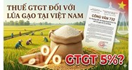 Bán lúa gạo đóng thuế GTGT bao nhiêu %? Hướng dẫn theo Công văn 732