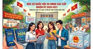 Trọn bộ tài liệu Cuộc thi trực tuyến Tìm hiểu bầu cử Quốc hội & HĐND 2026