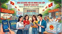 Trọn bộ tài liệu Cuộc thi trực tuyến Tìm hiểu bầu cử Quốc hội & HĐND 2026