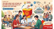 Trọn bộ Đáp án Tuần 2 Cuộc thi Tìm hiểu Bầu cử Quốc hội và HĐND các cấp năm 2026