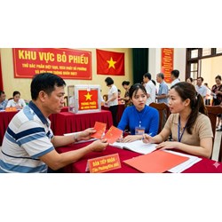 Sát ngày Bầu cử 15/3: Thẻ cử tri bị rách nát, thất lạc xin cấp lại ở đâu, thủ tục thế nào?