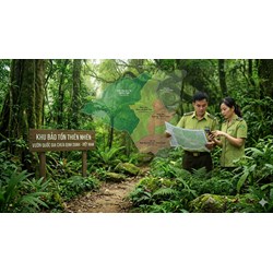 Phân loại rừng đặc dụng và thủ tục xin điều chỉnh ranh giới rừng năm 2026