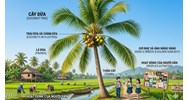 Viết bài văn tả cây dừa Tập làm văn lớp 4