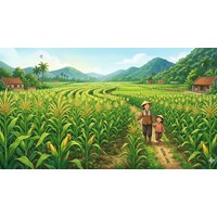 Viết bài văn tả cây ngô Tập làm văn lớp 4