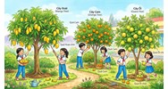 Bài văn tả cây ăn quả lớp 4 ngắn gọn, hay nhất