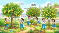 Bài văn tả cây ăn quả lớp 4 ngắn gọn, hay nhất