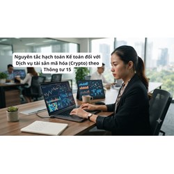 Nguyên tắc hạch toán Kế toán đối với Dịch vụ tài sản mã hóa (Crypto) theo Thông tư 15