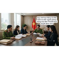 Quy chế hoạt động của Đội kiểm tra liên ngành phòng chống mại dâm TP.HCM theo Quyết định 1314