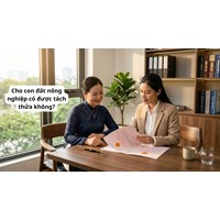 Cho con đất nông nghiệp có được tách thửa không?