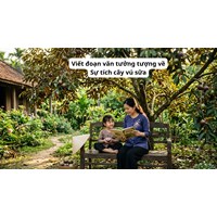 Viết đoạn văn tưởng tượng về Sự tích cây vú sữa lớp 4 siêu hay