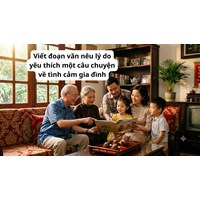 Viết đoạn văn nêu lý do yêu thích một câu chuyện về tình cảm gia đình