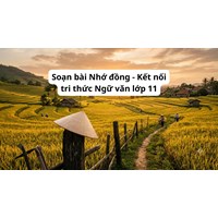 Soạn bài Nhớ đồng - Kết nối tri thức Ngữ văn lớp 11