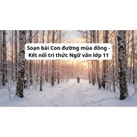 Soạn bài Con đường mùa đông - Kết nối tri thức Ngữ văn lớp 11