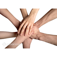 Tư vấn về đăng ký khai sinh cho việc sinh con ngoài dã thú.
