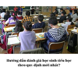 Hướng dẫn đánh giá học sinh tiểu học theo quy định mới nhất?