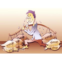 Ủy ban nhân dân xã thu phí chứng thực hợp đồng giao khoán rừng có đúng không ?