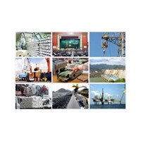 Miễn nhiệm, cách chức Trưởng Ban kiểm soát, Kiểm soát viên doanh nghiệp nhà nước trong trường hợp nào?