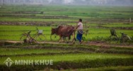 Mức bồi thường thiệt hại do làm ô nhiễm môi trường và gây tổn hại sức khỏe cho người khác ?
