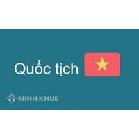 Nhập lại quốc tịch Việt Nam theo hình thức song tịch như thế nào ?