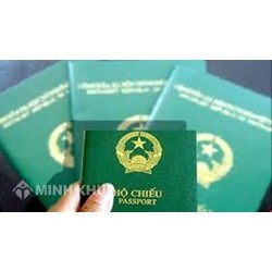 Công ty có trách nhiệm gì khi không đưa được người lao động sang nước ngoài ?