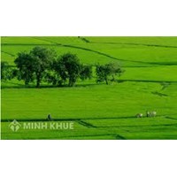 Cấp đổi sổ đỏ trong trường hợp nào?