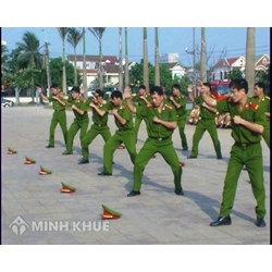 Điều kiện được bổ nhiệm Trưởng công an xã ?