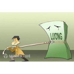 Tư vấn chế độ tiền lương của nhân viên khi chuyển đổi vị trí làm việc ?