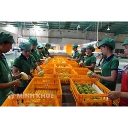 Thuế suất đối với hoạt động thu mua rau củ ?