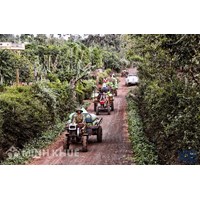 Chở hàng hóa không rõ nguồn gốc, xuất xứ của hàng hóa bị phạt thế nào  ?