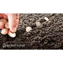Hướng dẫn xác định tiền sử dụng đất, tiền nhận chuyển nhượng quyền sử dụng đất đã trả có nguồn gốc ngân sách nhà nước ?