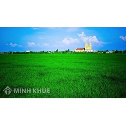 Mẫu tờ khai đăng ký chuyển mục đích sử dụng đất mới nhất