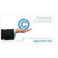 Tư vấn giải quyết tranh chấp về bảo hộ nhãn hiệu sở hữu trí tuệ ?