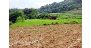 Thủ tục mua bán đất vườn liền kề ? Thủ tục bán đất quy hoạch tại khu đô thị ?