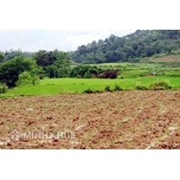 Thủ tục mua bán đất vườn liền kề ? Thủ tục bán đất quy hoạch tại khu đô thị ?