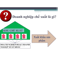 Doanh nghiệp trong khu chế xuất bán hàng cho doanh nghiệp nội địa dùng loại hóa đơn nào ?