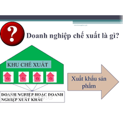 Doanh nghiệp trong khu chế xuất bán hàng cho doanh nghiệp nội địa dùng loại hóa đơn nào ?