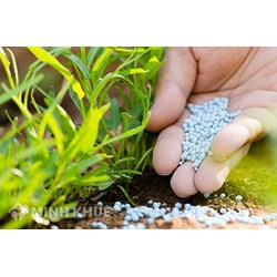Mức xử phạt vi phạm quy định về sử dụng thuốc bảo vệ thực vật ?